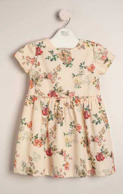 Little Girl Vintage Rose Poplin Dress